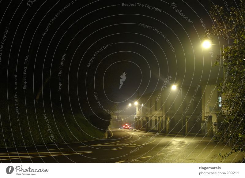 Cold night Village Small Town Old town Deserted Street Traffic light Loneliness Exterior shot Night Long exposure Long shot