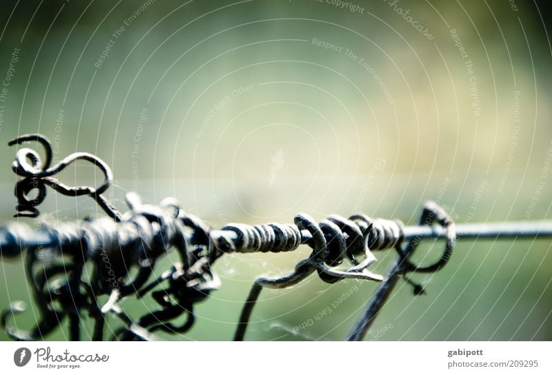 intricacies Green Complicated Wire Loop Coil Attachment Subdued colour Exterior shot Deserted Copy Space top Day Contrast Sunlight Shallow depth of field Bond