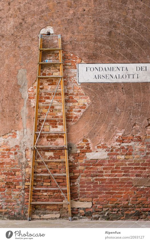 You're gonna break half the city! Venice Italy Small Town Port City House (Residential Structure) Wall (barrier) Wall (building) Ladder Rung Brick Stand Tall