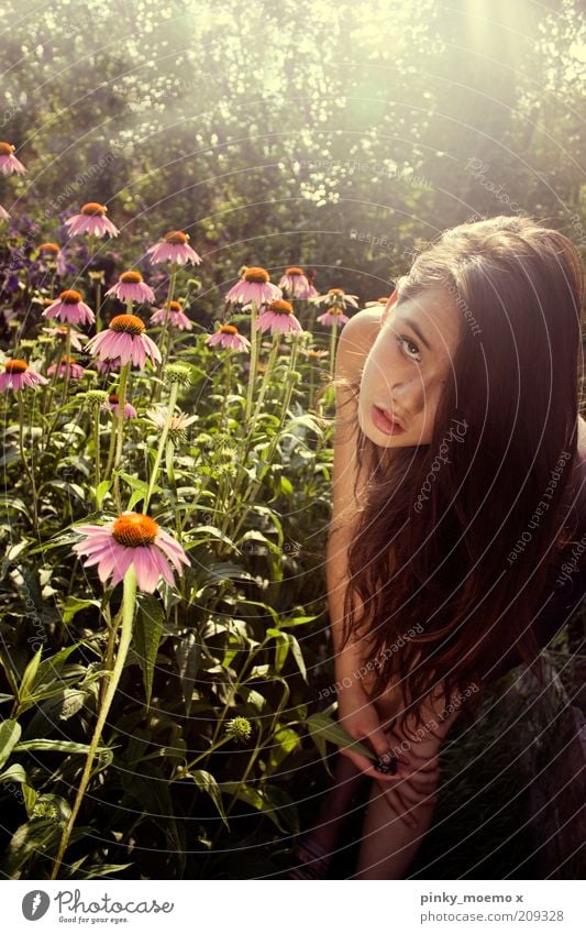 WE DREAM Feminine 1 Human being Stand Flower Long Hair and hairstyles Nature Garden Exterior shot Light Front view Long-haired Brunette Youth (Young adults)