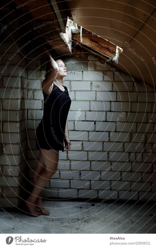 Young woman stands barefoot in the attic in front of the skylight Attic Skylight Roof beams Brick wall Youth (Young adults) Legs Feet 18 - 30 years Adults Dress