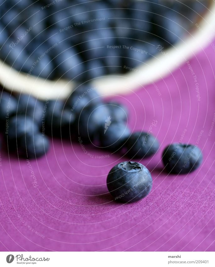 berry parade Food Fruit Nutrition Delicious Blue Violet Blueberry Berries Blur Individual Healthy Eating Colour photo Vegetarian diet Vegan diet Harvest Fresh