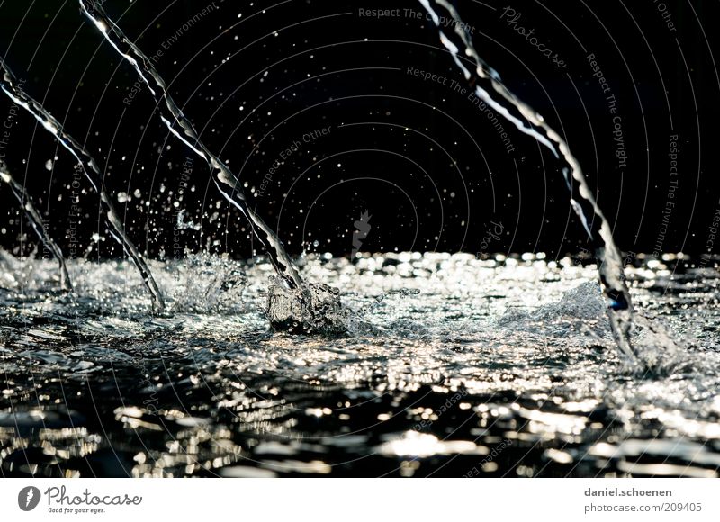 zippy Water Drops of water Black Silver White Esthetic Movement Bizarre Well Fluid Abstract Shadow Contrast Reflection Neutral Background Surface of water