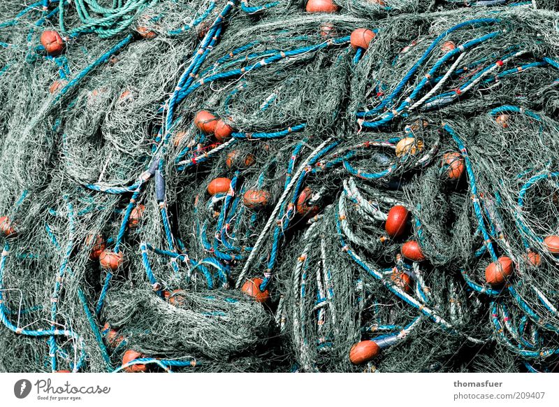 Network Fishing net Environmental pollution Environmental protection Colour photo Exterior shot Day Contrast Section of image Fishery Heap Chaos Remainder