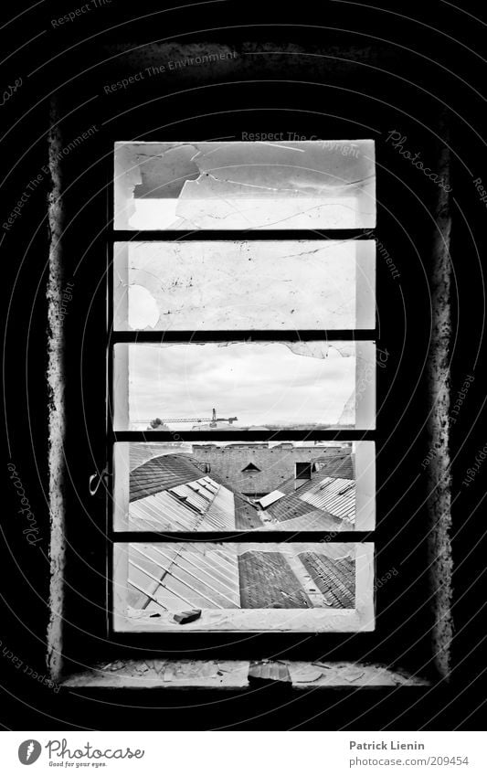 Window above the roofs Deserted Manmade structures Building Architecture Roof Old Looking Dirty Dark Broken Black & white photo Interior shot Shadow Contrast