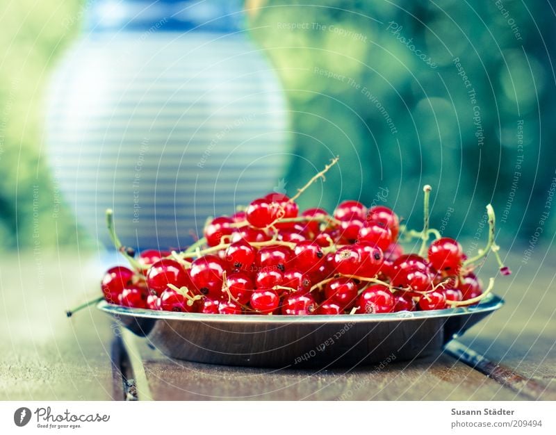 Help yourself! Food Fruit Dessert Buffet Brunch Finger food Redcurrant Plate Vase Stripe Wooden table Harvest Berries Summery Furrow Garden table Exterior shot