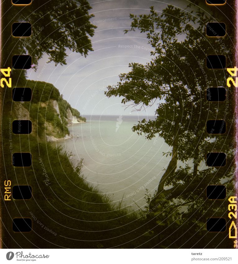 There is no There Environment Nature Landscape Baltic Sea Island Rügen Wanderlust Freedom sprocket holes Filmperforation Coast Cliff Kreidefelsen Colour photo