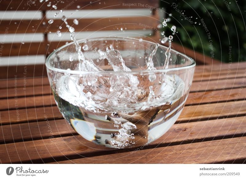 bowl the second Donkey To fall Bowl Water Drops of water Splash Glass Colour photo Exterior shot Close-up Deserted Day Central perspective Splash of water