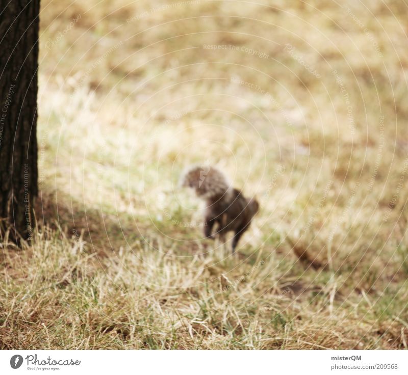 Escape attempt. Animal Esthetic Squirrel Escape route Walking Thief Free-roaming Nature Romp Playing Eastern American Chipmunk Tails Running Speed Park