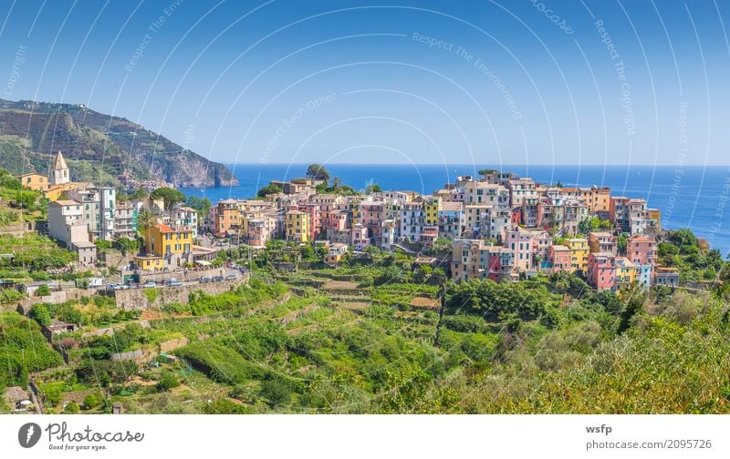 Corniglia Cinque Terre Liguria Italy Ocean Landscape Coast Village Old town Architecture Historic La Spezia travel panorama Europe Sunset Cliff Colour photo