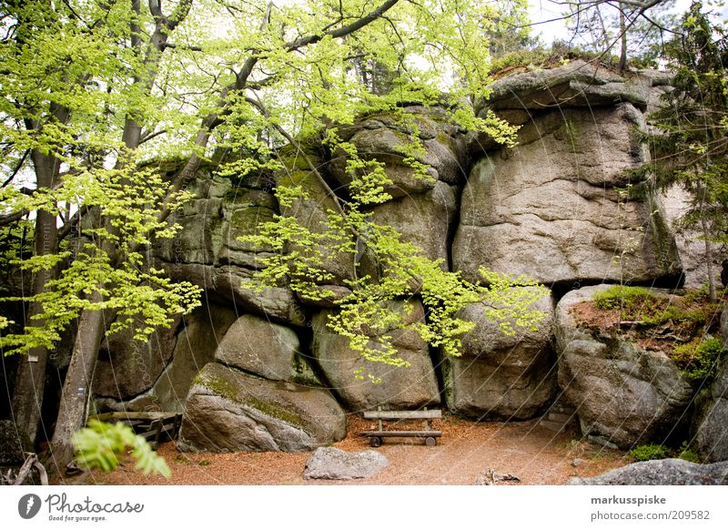 white main rocks fichtelgebirge Vacation & Travel Tourism Trip Far-off places Freedom Expedition Summer Summer vacation Mountain Hiking Upper Franconia Climbing