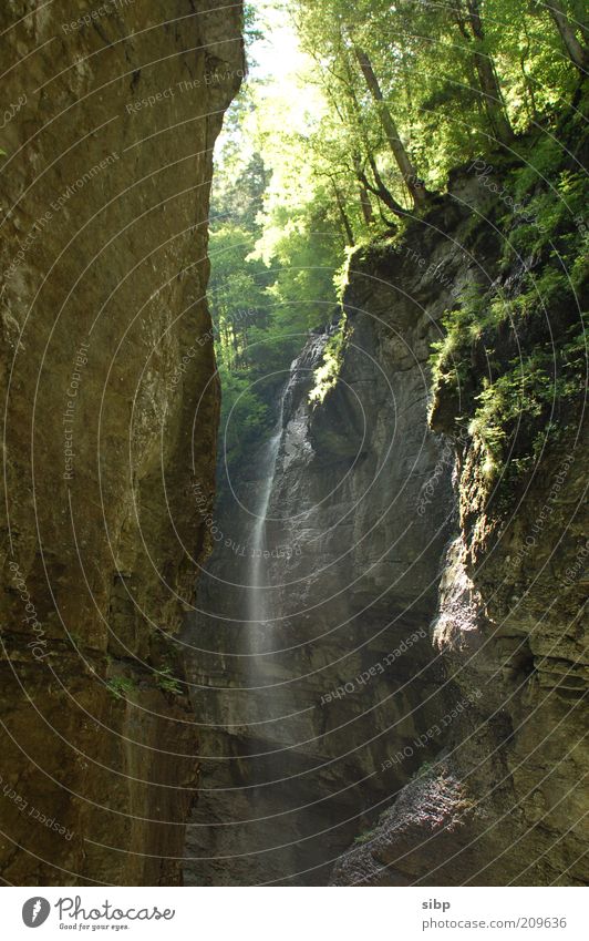 Steep idyll Relaxation Calm Expedition Summer Mountain Nature Water Rock Alps Canyon Partnachklamm Waterfall Tourist Attraction Discover To enjoy Environment