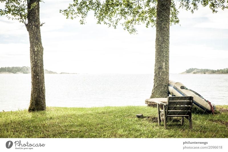 View of the sea Sports Environment Nature Landscape Summer Climate Tree Garden Park Meadow Coast Lakeside Beach Bay Fjord Friendliness Happiness Happy Honest