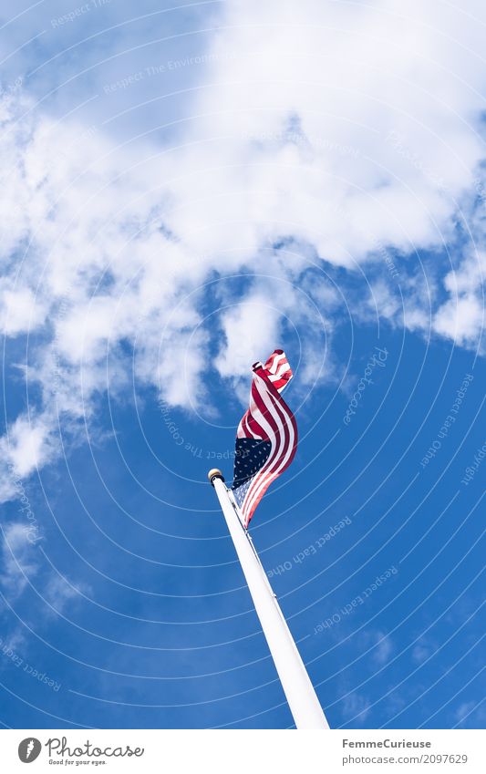 Roadtrip West Coast USA (140) Sign Politics and state Vacation & Travel Flag Wind Clouds Flagpole Blow American Flag Sunbeam Summery Colour photo Exterior shot