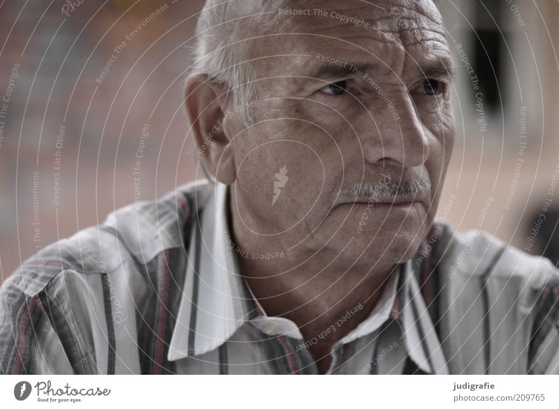 seventy-seven Human being Male senior Man Skin Head Face 1 60 years and older Senior citizen Shirt Moustache Think Listening Looking Calm Wisdom Curiosity