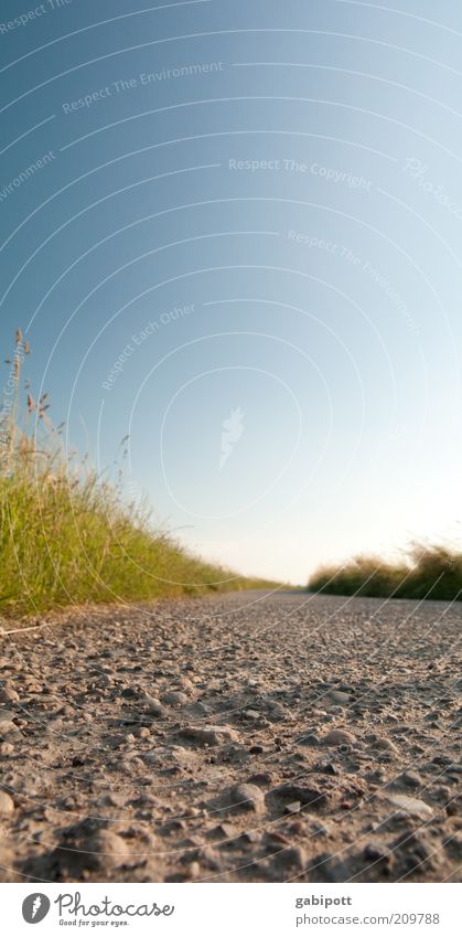 This way will not be easy... Nature Landscape Field Lanes & trails Friendliness Happiness Fresh Bright Natural Beautiful Warmth Joy Happy