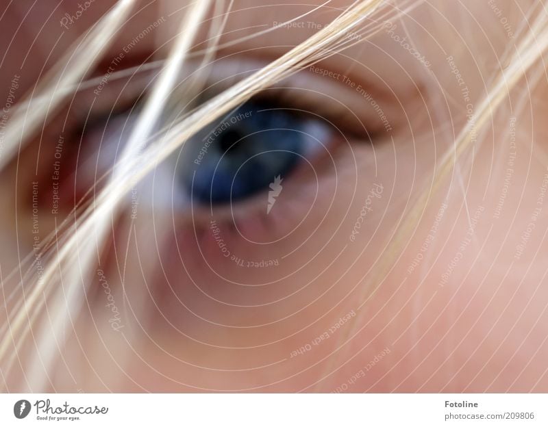 I see you! Human being Feminine Skin Head Hair and hairstyles Face Eyes Bright Natural Blue Looking Eyelash Pupil Iris Looking into the camera Colour photo