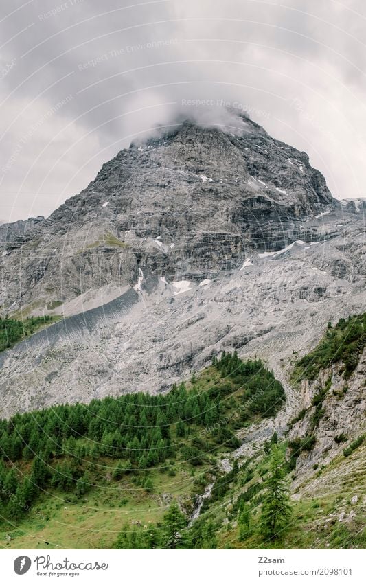 smokers Environment Nature Landscape Clouds Bad weather Fog Forest Rock Alps Mountain Peak Glacier Threat Tall Cold Gray Green Adventure Idyll Climate