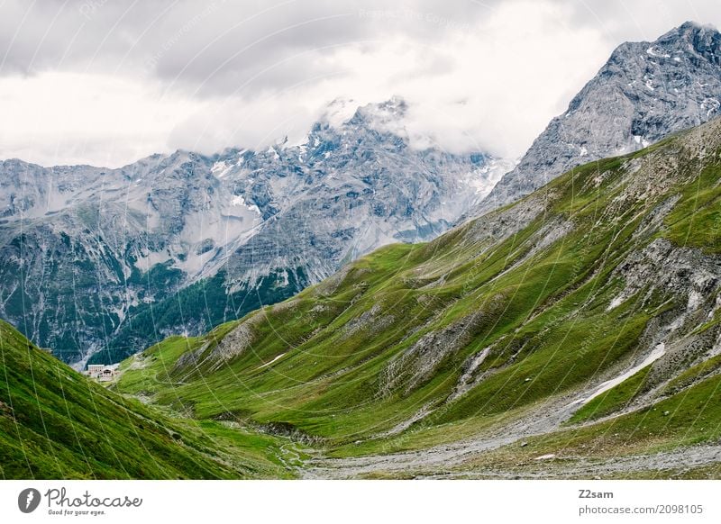 Stelvio yoke Environment Nature Landscape Sky Clouds Bad weather Rock Alps Mountain Peak Glacier Gigantic Tall Green Adventure Loneliness Idyll Climate Calm