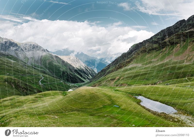 umbrail passport Environment Nature Landscape Sky Clouds Summer Beautiful weather Meadow Alps Mountain Glacier Gigantic Infinity Tall Blue Green Calm Adventure