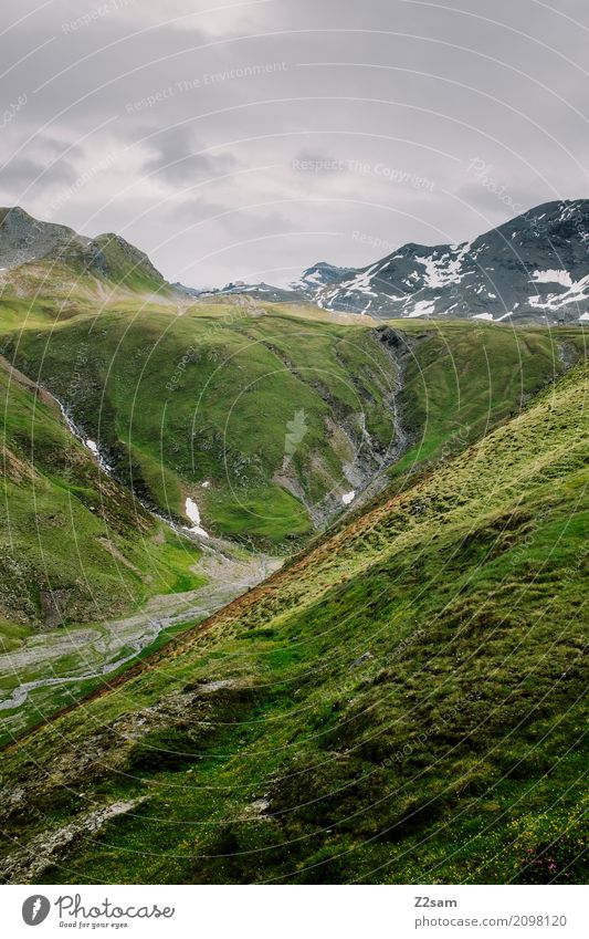 umbrail Cycling Environment Nature Landscape Sky Summer Climate Beautiful weather Bad weather Meadow Alps Mountain Peak Threat Gigantic Green Adventure Colour