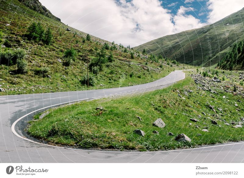 umbrail passport Cycling Nature Landscape Summer Climate Beautiful weather Meadow Rock Mountain Glacier Street Lanes & trails Overpass Natural Green Loneliness