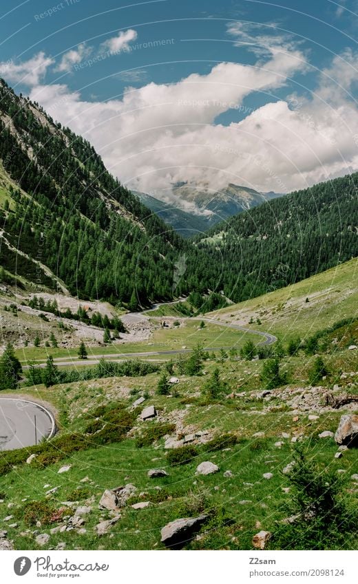 umbrail passport Nature Landscape Summer Climate Beautiful weather Meadow Rock Alps Mountain Street Overpass Gigantic Infinity Blue Green Calm Loneliness Idyll