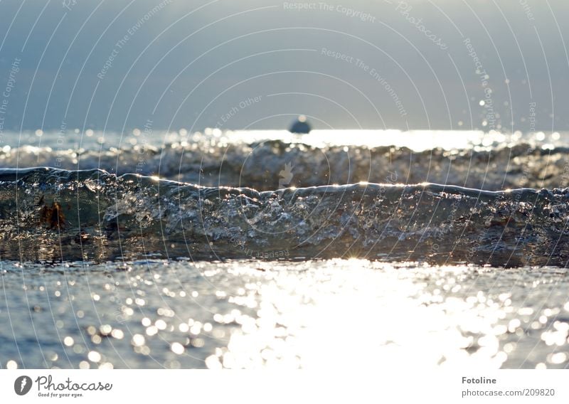 water powers Environment Nature Sky Cloudless sky Summer Warmth Waves Coast Baltic Sea Ocean Bright Near Wet Natural Colour photo Exterior shot Copy Space top