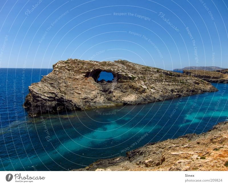 dinosaur eye Nature Landscape Water Summer Rock Coast Bay Ocean Fantastic Firm Calm rock-eye Rock formation prehistoric rock Comino Gozo Malta Colour photo