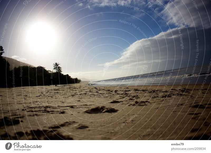 palm cove Environment Nature Landscape Sand Water Sky Clouds Sun Sunlight Beautiful weather Beach Bay Relaxation Vacation & Travel Warmth Blue Brown Wanderlust