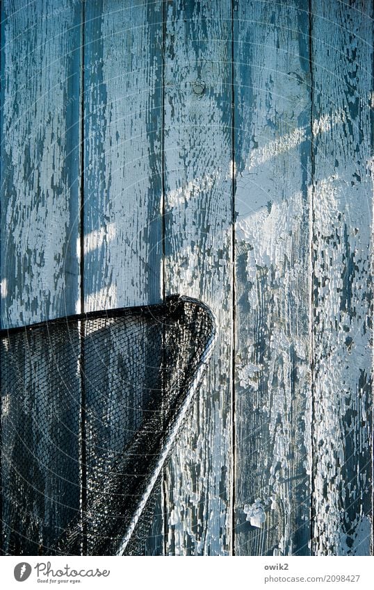 closed season Gardenhouse Wooden wall Wall (barrier) Wall (building) Facade Landing net Net Fishery Metal Plastic Wait Old Threat Trashy Dry Blue Black