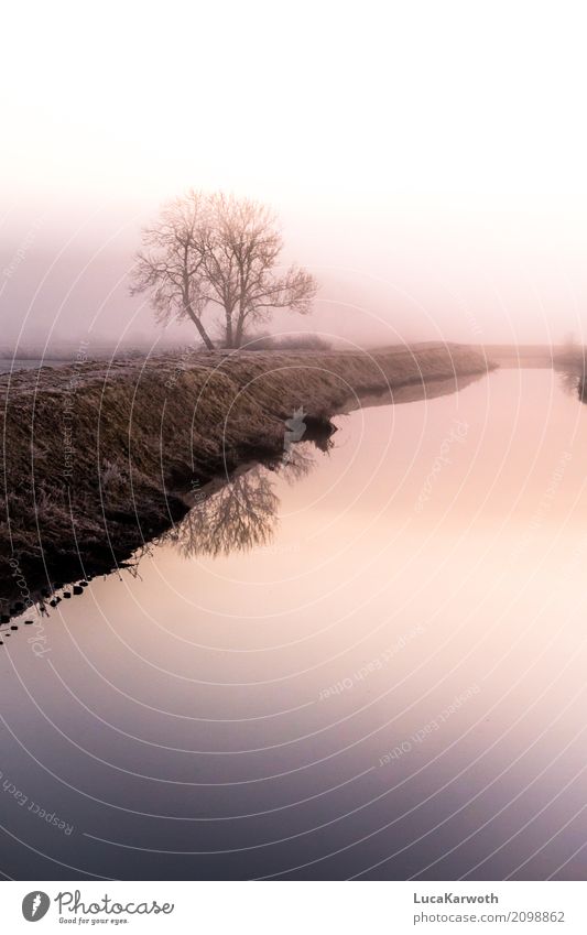 winter atmosphere Environment Nature Landscape Plant Elements Water Sunrise Sunset Winter Weather Fog Ice Frost Tree Grass Coast River bank Germany Deserted