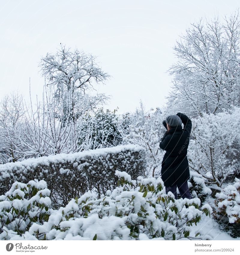 the ice princess Human being Life Art Media Environment Nature Landscape Plant Winter Climate Weather Ice Frost Snow Garden Park Emotions Moody Esthetic