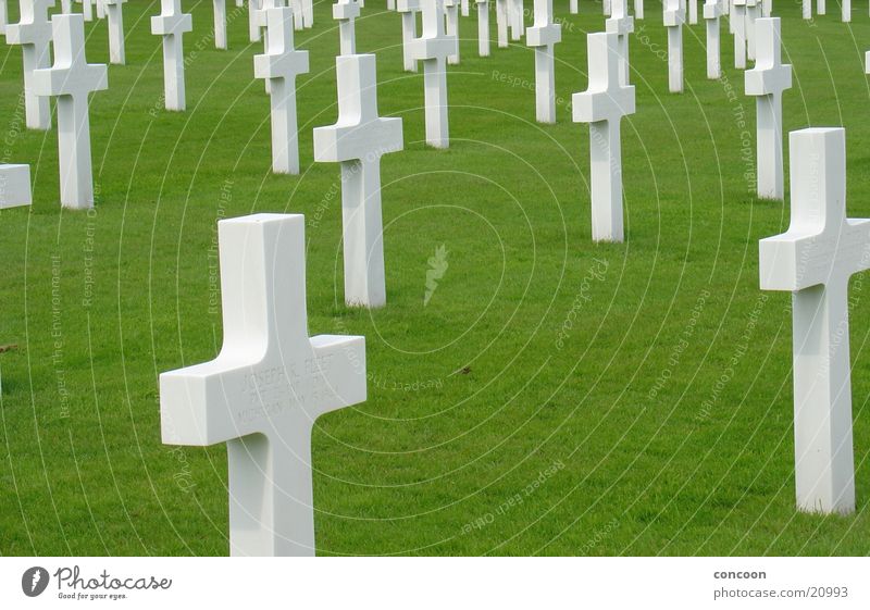 Cambridge American Cemetery Remember War White Grave Tomb England Great Britain House of worship Back Americas Gloomy Death