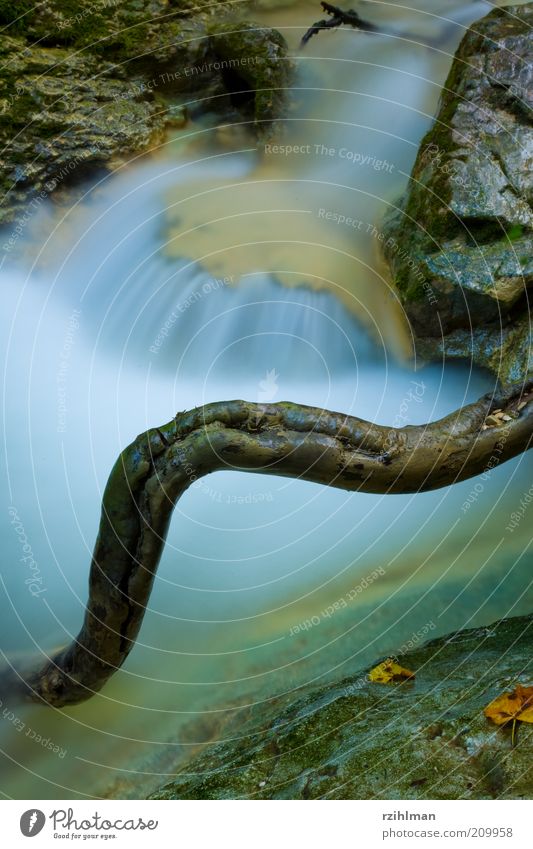 course of a brook Nature Water Moss Canyon Brook River Waterfall Stone Allerheiligenberg Branch Cholersbach Hägendorf Switzerland Solothurn devil's ravine