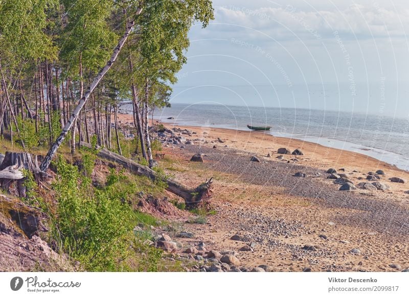 Wild beach of the Baltic sea in spring Beautiful Calm Vacation & Travel Tourism Summer Sun Beach Ocean Environment Nature Landscape Sky Clouds Horizon Autumn