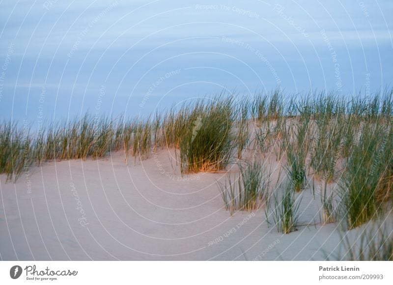 After Sunset Environment Nature Landscape Plant Elements Sand Sky Clouds Summer Climate Weather Beautiful weather Beach North Sea Ocean Island Vacation & Travel