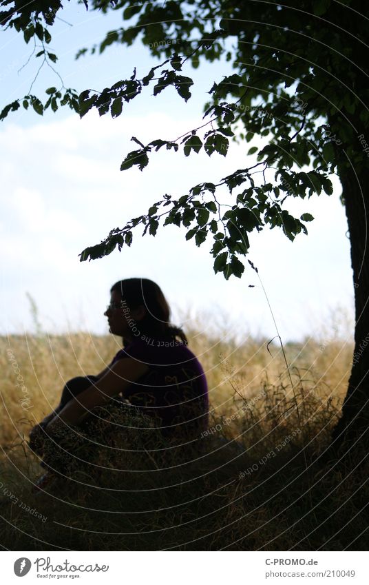 Lost in thought Woman Adults Head 1 Human being Nature Sky Clouds Summer Tree Grass Meadow Long-haired Observe Relaxation Sit Dream Sadness Emotions Concern