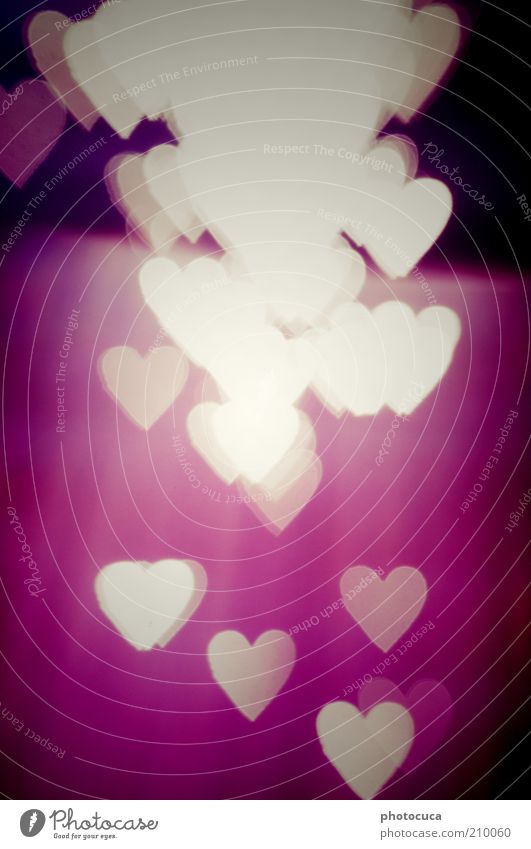 love Art Heart Love Romance Longing Red Violet Many Heart's content With love Background picture Graph Symbols and metaphors Colour photo Experimental