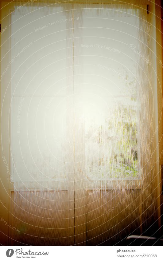 windows Window Perspective Vantage point Sunbeam Radiation Beautiful weather French windows Door Beam of light Lighting Flare Drape glass bead curtain