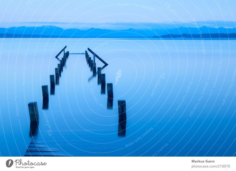 submerged Summer Environment Nature Landscape Water Lakeside Moody Calm Boredom Surrealism Jetty Starnberg Sunset tutzing Blue Sky Go under Old Footbridge