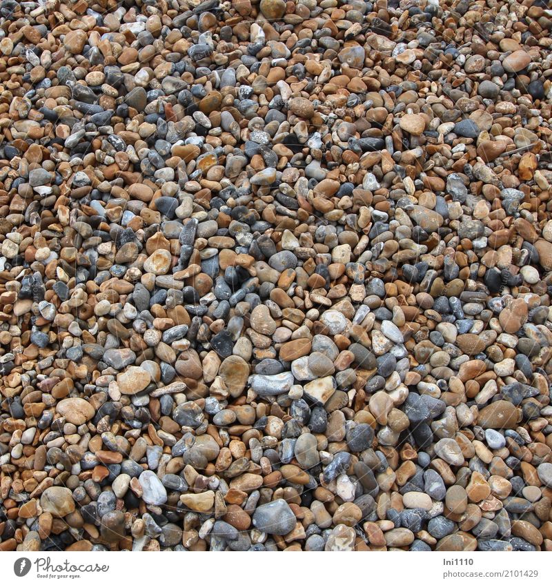 pebble Coast Beach North Sea Stone Beautiful Uniqueness Maritime Blue Brown Multicoloured Gray Red White Pebble Gravel beach Mixed Massage Feet Slate blue