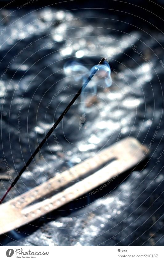 summer scent Summer Smoky Moody Calm Colour photo Exterior shot Day Back-light Shallow depth of field Joss sticks Smoke Burn Fragrance