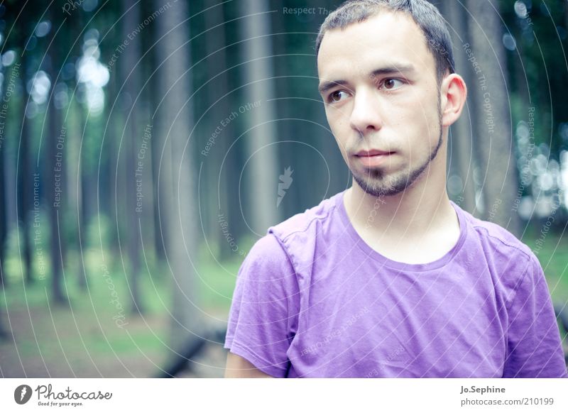 Recently in the forest Human being Masculine Young man Youth (Young adults) 1 18 - 30 years Adults Looking Dream green Violet Longing Nature Forest Thought