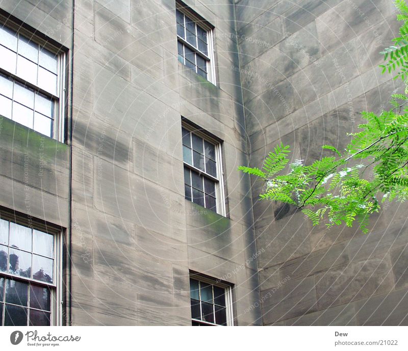 quiet old building Building Window Calm Architecture