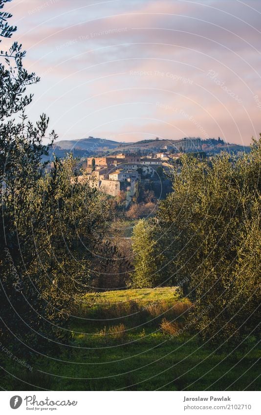 Panoramic view of the San Giovanni d'Asso in the Tuscan. Beautiful Vacation & Travel Tourism Summer House (Residential Structure) Culture Landscape Sky Hill