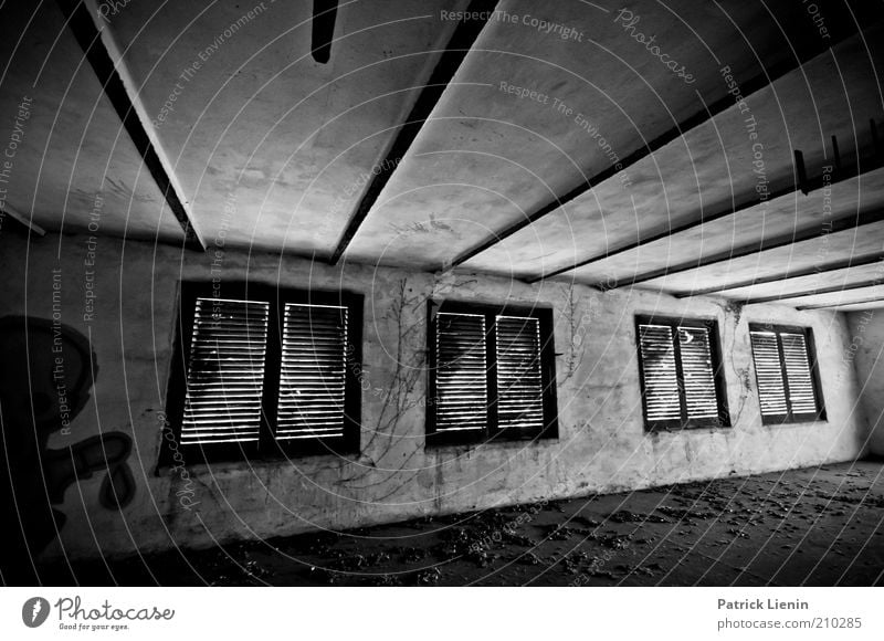 abandoned room Deserted Industrial plant Factory Manmade structures Building Architecture Wall (barrier) Wall (building) Window Old Dirty Sharp-edged Historic