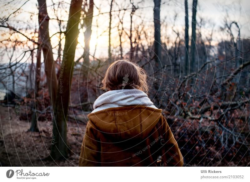 uprooted III Vacation & Travel Adventure Far-off places Winter Hiking Feminine Young woman Youth (Young adults) 1 Human being 18 - 30 years Adults Nature