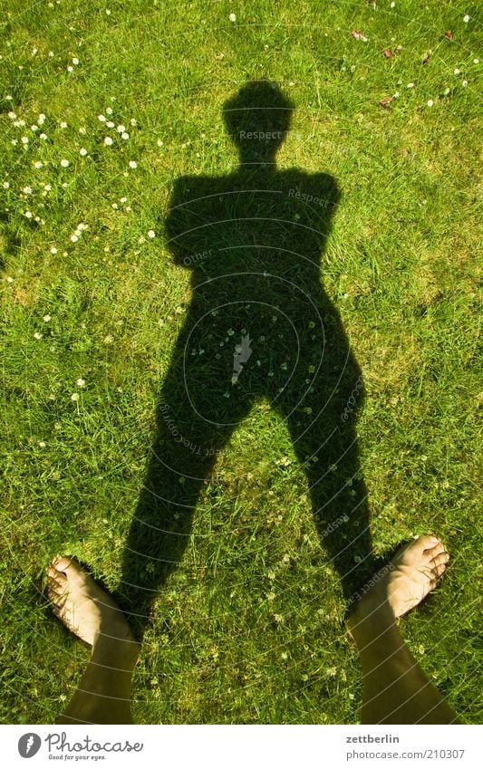 Meadow, again Human being Feet 1 Stand June Lawn Grass Vertical Shadow Black Green Grass green Unwavering Site Toes Barefoot Tibia Man Summer Exterior shot