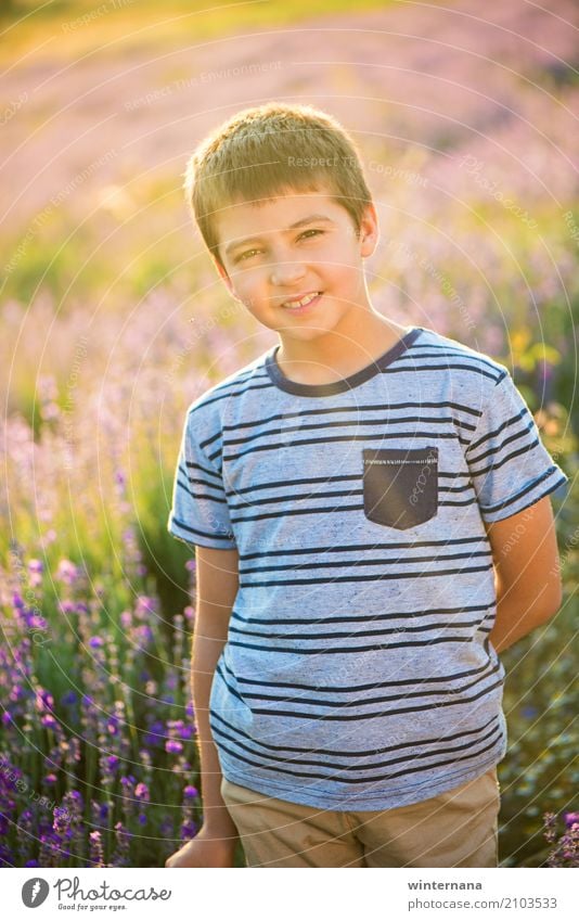 Lavender boy Lifestyle Human being Boy (child) Brother 1 8 - 13 years Child Infancy Nature Landscape Sun Sunlight Summer Beautiful weather Field Lavender field